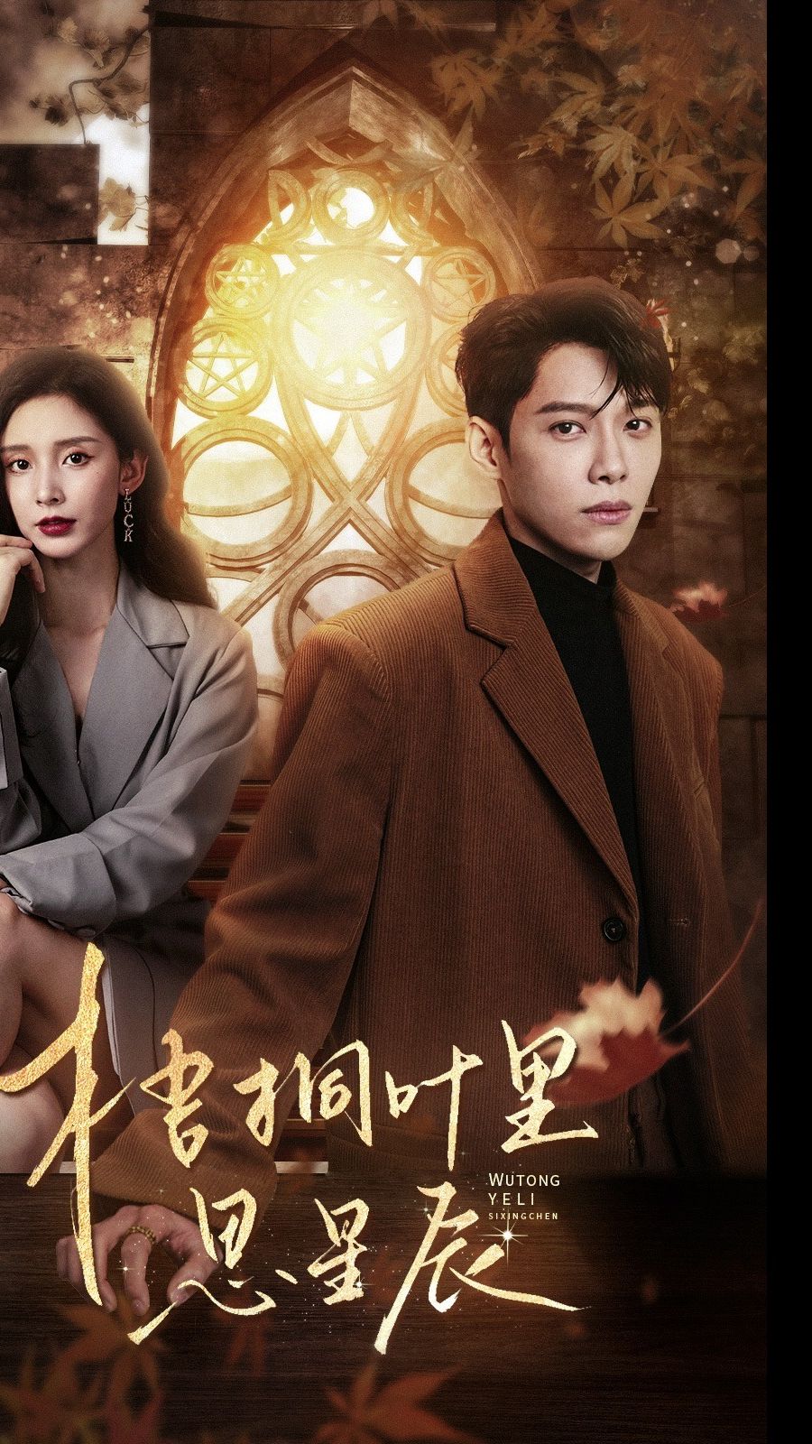 梧桐叶里思星 21-40集