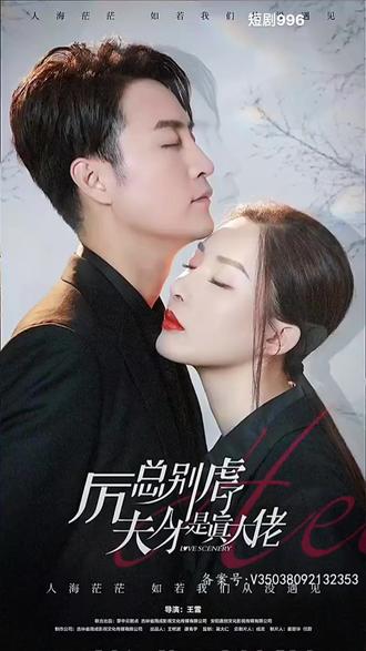 厉总别虐了，夫人才是真大佬 61-80集