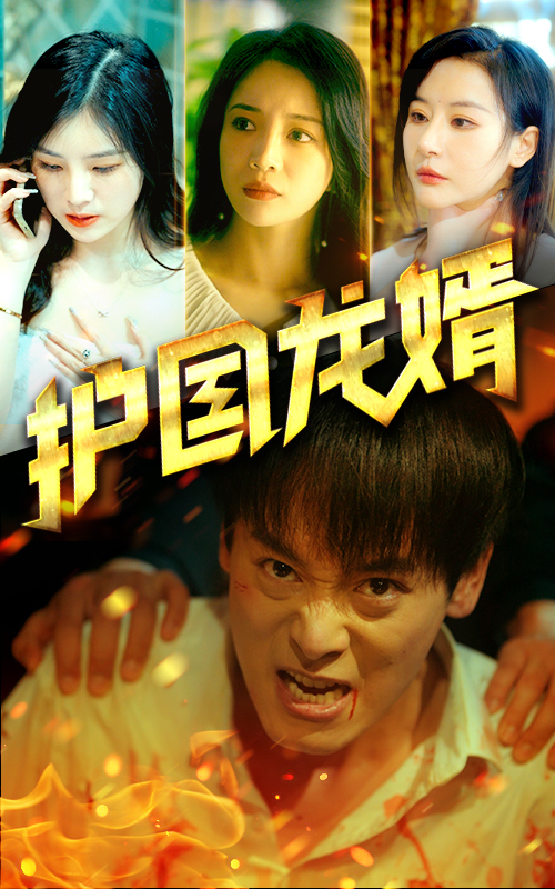 护国龙婿 1-20集