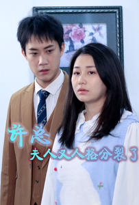 许总，夫人又人格分裂了 全集(大结局)